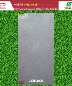 GẠCH ỐP LÁT BẠCH MÃ 30X60 MÃ PG3604