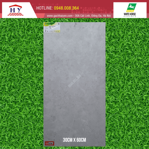 gach bach ma 30x60 PG3604