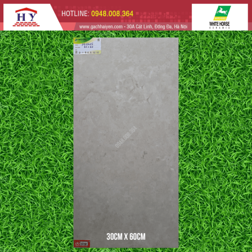 gach bach ma 30x60 PG3605