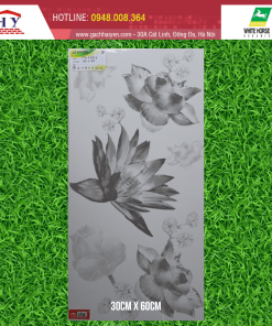 GẠCH ỐP LÁT BẠCH MÃ 30X60 MÃ PG36E1