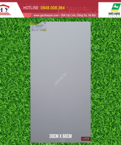 GẠCH ỐP LÁT BẠCH MÃ 30X60 MÃ WGG3600