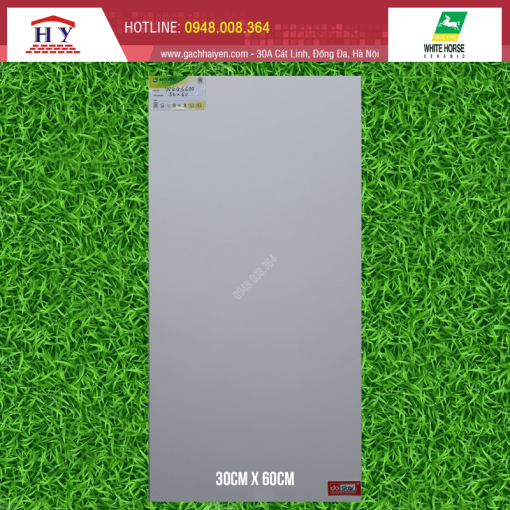 gach bach ma 30x60 WGG3600