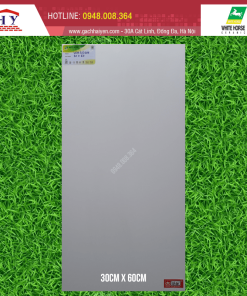 GẠCH ỐP LÁT BẠCH MÃ 30X60 MÃ WM36000