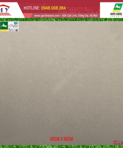 GẠCH ỐP LÁT BẠCH MÃ 60X60 MÃ DR6001