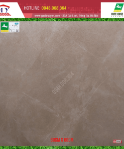 GẠCH ỐP LÁT BẠCH MÃ 60X60 MÃ HS6005