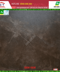 GẠCH ỐP LÁT BẠCH MÃ 60X60 MÃ HS6006