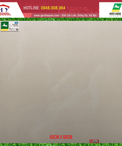 GẠCH ỐP LÁT BẠCH MÃ 60X60 MÃ M6003