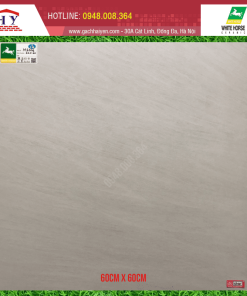 GẠCH ỐP LÁT BẠCH MÃ 60X60 MÃ M6004