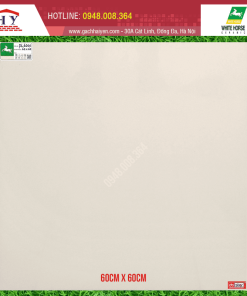 GẠCH ỐP LÁT BẠCH MÃ 60X60 MÃ PL6000