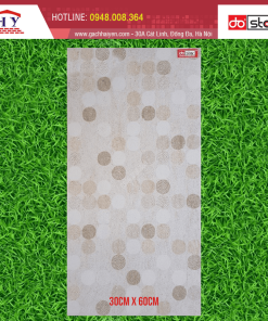 GẠCH ĐIỂM BẠCH MÃ 30X60 MÃ H36029E1