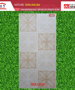 GẠCH ĐIỂM BẠCH MÃ 30X60 MÃ H36E1