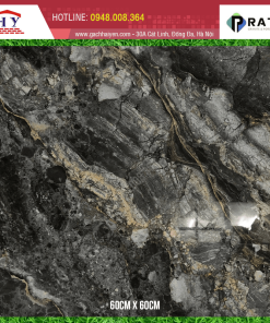 GẠCH ỐP LÁT CMC 60X60 MÃ PTK68009