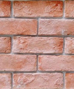 GẠCH GIẢ CỔ HỒNG CAM HY009