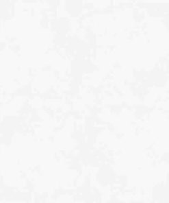 GẠCH ĐỒNG TÂM 100X100 MÃ 100VICTORIA005