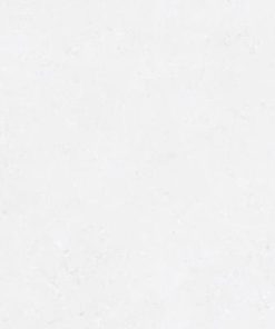 GẠCH ĐỒNG TÂM 40X40 MÃ 4040GECKO001