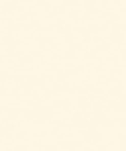 GẠCH ĐỒNG TÂM 40X40 MÃ 4040GECKO003