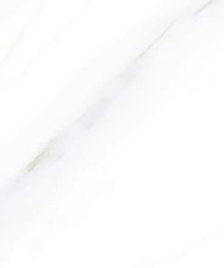 GẠCH ĐỒNG TÂM 40X40 MÃ 4040GECKO004