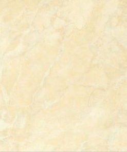 GẠCH ĐỒNG TÂM 40X40 MÃ 469