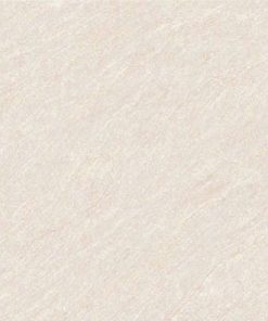 GẠCH ĐỒNG TÂM 60X60 MÃ 6060BINHTHUAN001