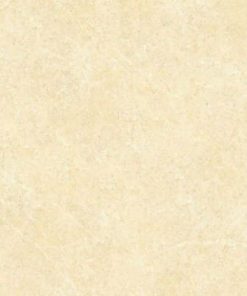 GẠCH ĐỒNG TÂM 60X60 MÃ 6060BINHTHUAN002