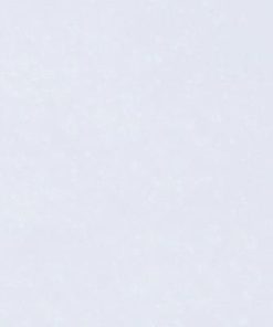 GẠCH ĐỒNG TÂM 60X60 MÃ 6060BRIGHT001-FP