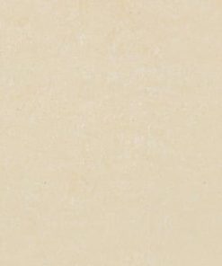 GẠCH ĐỒNG TÂM 60X60 MÃ 6060DB006-NANO