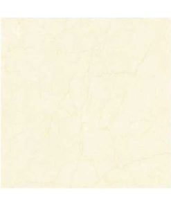 GẠCH ĐỒNG TÂM 60X60 MÃ 6060MOMENT005