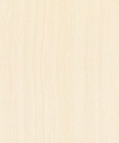 GẠCH ĐỒNG TÂM 60X60 MÃ 6060MOMENT008