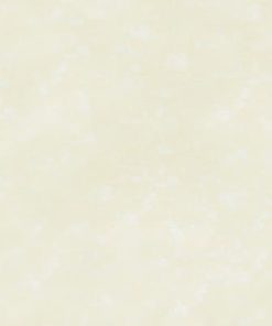 GẠCH ĐỒNG TÂM 60X60 MÃ 6060PLATINUM004