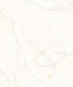 GẠCH ĐỒNG TÂM 60X60 MÃ 6060VAMCOTAY001