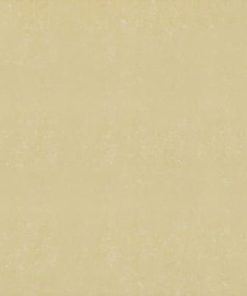 GẠCH ĐỒNG TÂM 80X80 MÃ 8080DB006-NANO