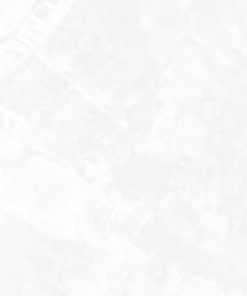 GẠCH EUROTILE 80X80 MÃ SIG.DNI E01