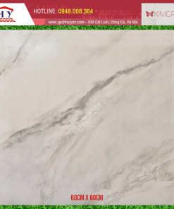 GẠCH MALAYSIA 60X60 MÃ A595X4L