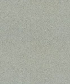 GẠCH TAICERA 30X60 MÃ G63048