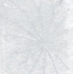 GẠCH TAICERA 90X90 MÃ LOTUS