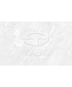 GẠCH ỐP TƯỜNG 40x80 TASA 4901