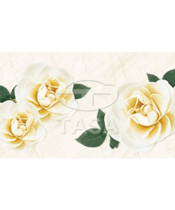 GẠCH ỐP TƯỜNG 40x80 TASA 4908