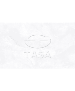 GẠCH ỐP TƯỜNG 40x80 TASA 4909