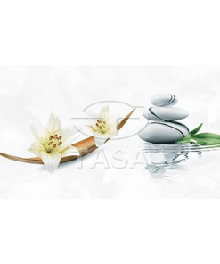 GẠCH ỐP TƯỜNG 40x80 TASA 4910