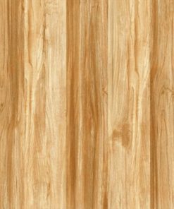 GẠCH LÁT NỀN 60x60 TASA 6106