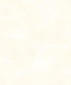 GẠCH LÁT NỀN 60x60 TASA 6704