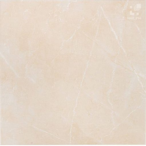 gach tay ban nha 60x60 hl6645m