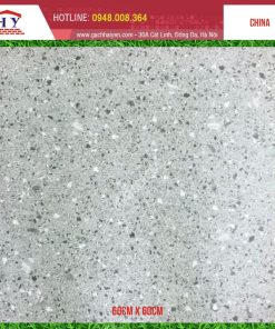 GẠCH TERRAZZO 60X60 MÃ 6605