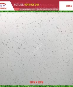 GẠCH TERRAZZO 60X60 MÃ 6924