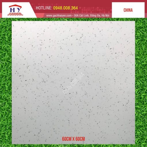 gach terrazzo 6924 1