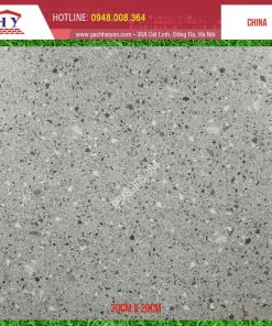 GẠCH TERRAZZO 60X60 MÃ D6605