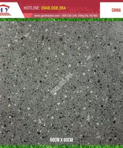 GẠCH TERRAZZO 60X60 MÃ D6606