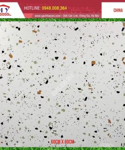 GẠCH TERRAZZO 60X60 MÃ D6636
