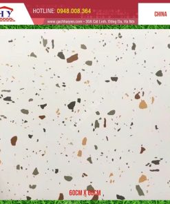 GẠCH TERRAZZO 60X60 MÃ GN6601