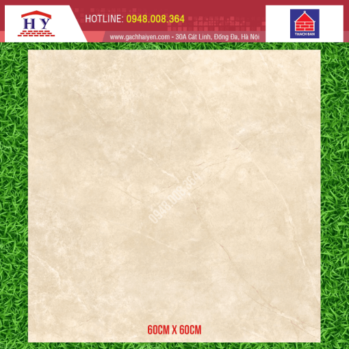 gach thach ban 60x60 FGB60 0006.0